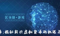   SAO币：揭秘新兴虚拟货币