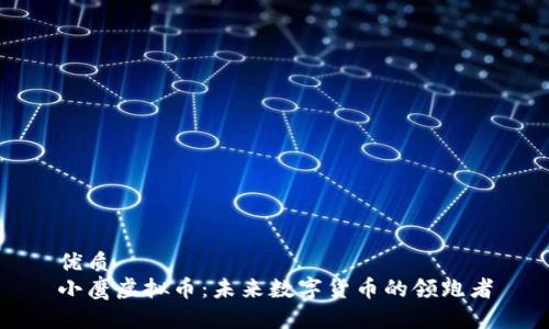优质
小鹰虚拟币：未来数字货币的领跑者