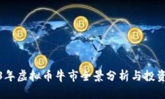 2023年虚拟币牛市全景分析