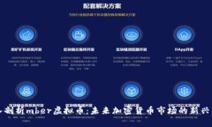 深入剖析mber虚拟币：未来