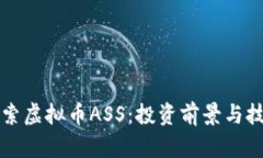 深入探索虚拟币ASS：投资