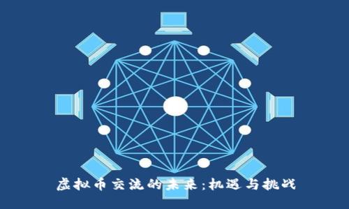 虚拟币交流的未来：机遇与挑战