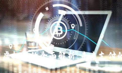  轻付网虚拟币的全面解析：未来支付的新选择