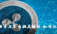  : 虚拟母币与子币骗局解