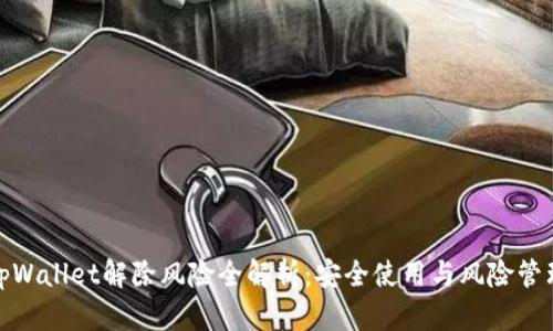 tpWallet解除风险全解析：安全使用与风险管理