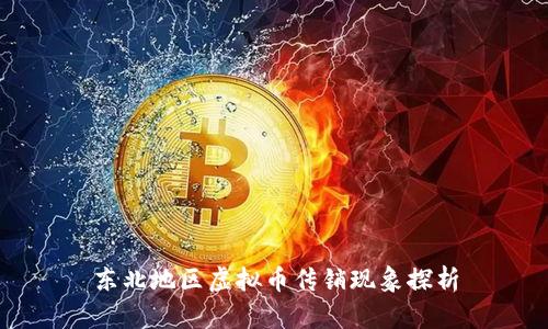 东北地区虚拟币传销现象探析