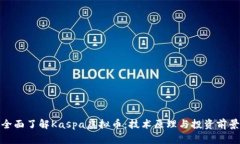 全面了解Kaspa虚拟币：技术