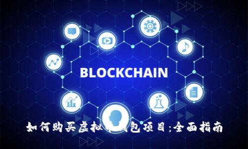 如何购买虚拟币钱包项目：全面指南