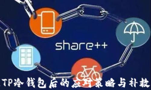 
丢失TP冷钱包后的应对策略与补救措施