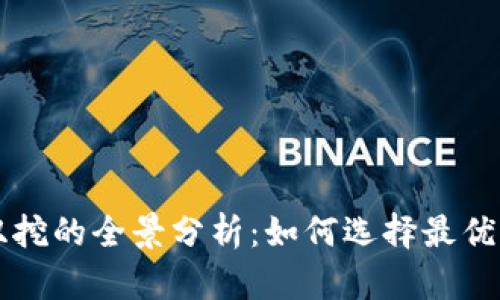 虚拟币双挖的全景分析：如何选择最优质的资产