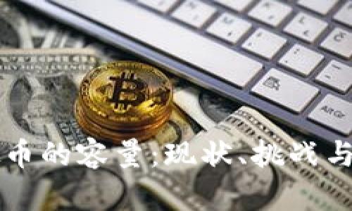 虚拟币的容量：现状、挑战与未来