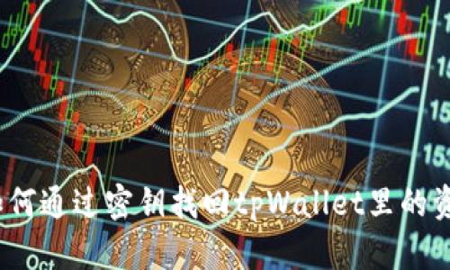  如何通过密钥找回tpWallet里的资金