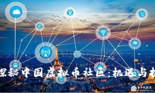 : 探秘中国虚拟币社区：机遇与挑战