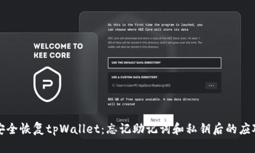 如何安全恢复tpWallet：忘记助记词和私钥后的应对指南