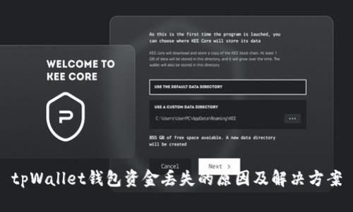 tpWallet钱包资金丢失的原因及解决方案