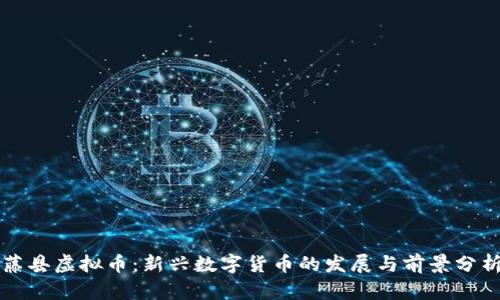 藤县虚拟币：新兴数字货币的发展与前景分析
