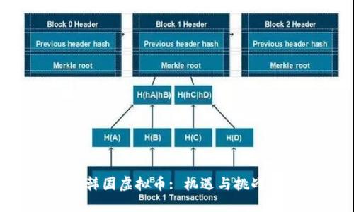 : BRC韩国虚拟币: 机遇与挑战的探索