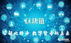 了解比特币：数字货币的
