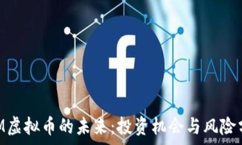   
DOM虚拟币的未来：投资机会与风险分析