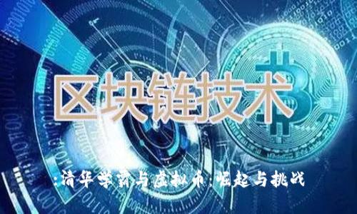 :清华学霸与虚拟币：崛起与挑战