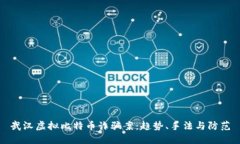 武汉虚拟比特币诈骗案：