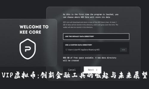 VIP虚拟币：创新金融工具的崛起与未来展望