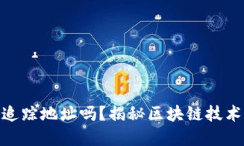 : 虚拟币钱包能追踪地址吗？揭秘区块链技术的隐私与透明性
