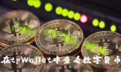 :如何在tpWallet中查看数字