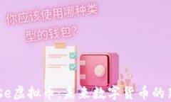 Wise虚拟币：未来数字货币