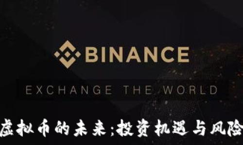   
虚拟币的未来：投资机遇与风险