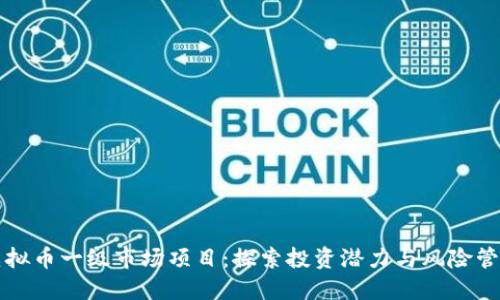 虚拟币一级市场项目：探索投资潜力与风险管理