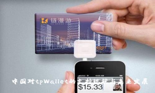  中国对tpWallet的支持现状与未来发展