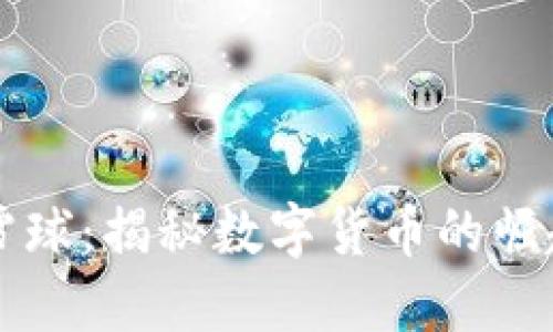 虚拟币雪球：揭秘数字货币的崛起与未来