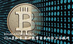 binmian/binmianVibe虚拟币：新兴数字货币的潜力与挑