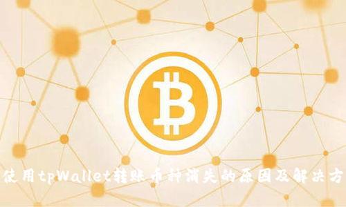 : 使用tpWallet转账币种消失的原因及解决方案