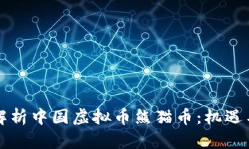 深入解析中国虚拟币熊猫币：机遇与挑战