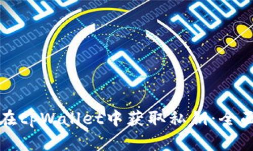 如何在tpWallet中获取私钥：全面指南