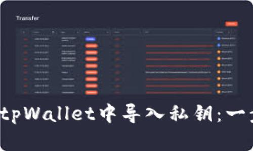  如何在tpWallet中导入私钥：一步步指南