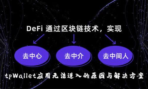 tpWallet应用无法进入的原因与解决方案