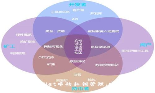 探索tpWallet中的私钥管理：安全与隐私