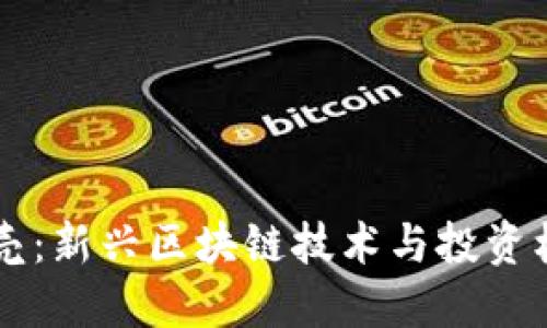 虚拟币谷壳：新兴区块链技术与投资机会的探索