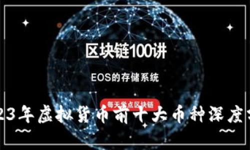2023年虚拟货币前十大币种深度分析