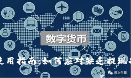 tpWallet使用指南：如何应对缺乏提现功能的情况