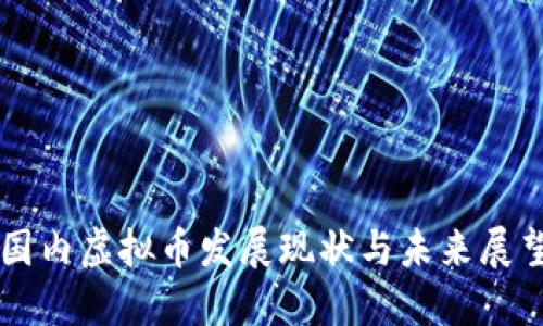 国内虚拟币发展现状与未来展望