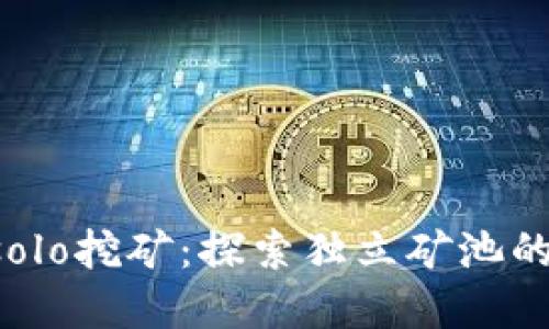  tpWalletsolo挖矿：探索独立矿池的优势与挑战