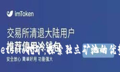  tpWalletsolo挖矿：探索独立矿池的优势与挑战