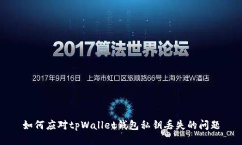 如何应对tpWallet钱包私钥丢失的问题