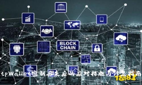 tpWallet密钥丢失后的应对措施与修复指南