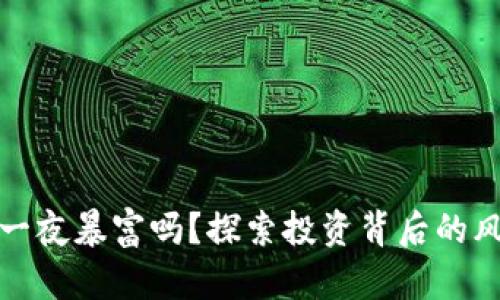 虚拟币能一夜暴富吗？探索投资背后的风险与机遇