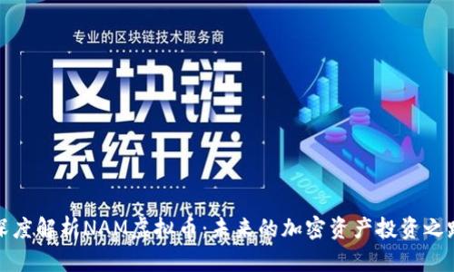 深度解析NAM虚拟币：未来的加密资产投资之路